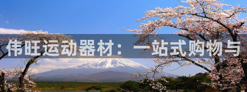球客岛官网下载招商：伟旺运动器材：一站式购物与
