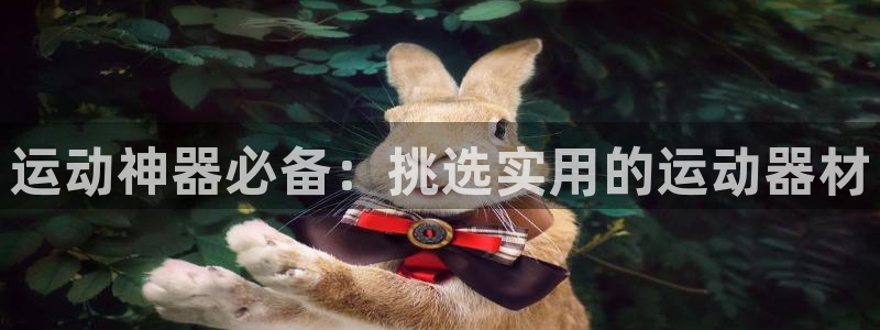 球客岛官网下载招商电话号码是多少：运动神器必备：挑选