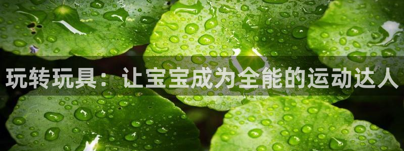 球客岛官方正版app集团logo：玩转玩具：让宝宝成为全能的