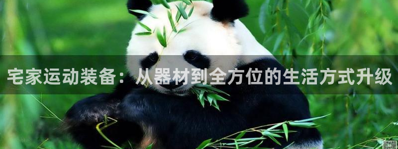 球客岛官网下载平台是正规平台吗安全吗：宅家运动装备：从器材到