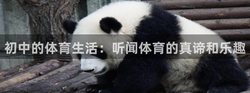 球速体育