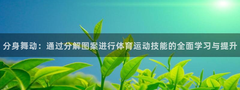 球速体育