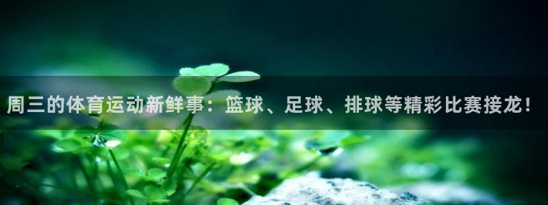球速体育