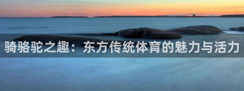 球速体育