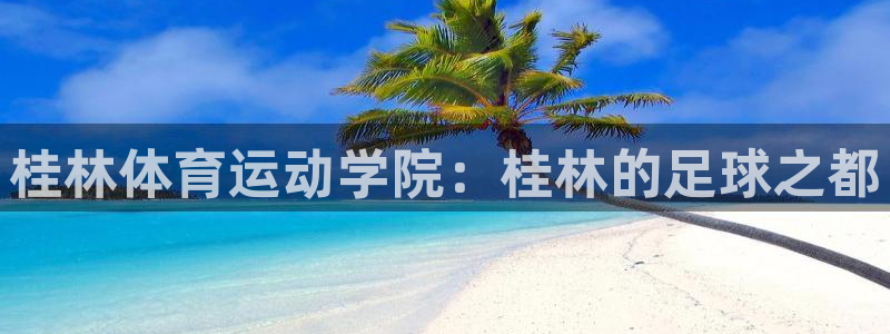 球速体育