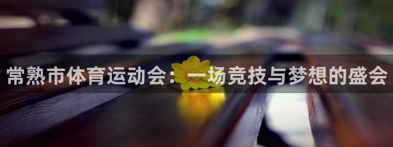 球速体育