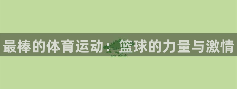 球速体育