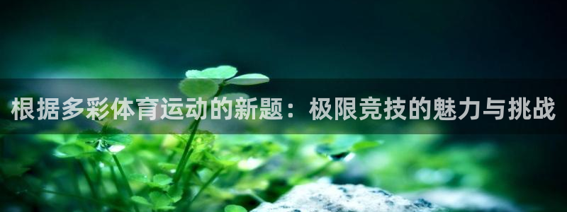 球速体育