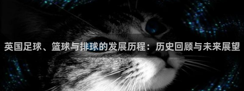 球速体育