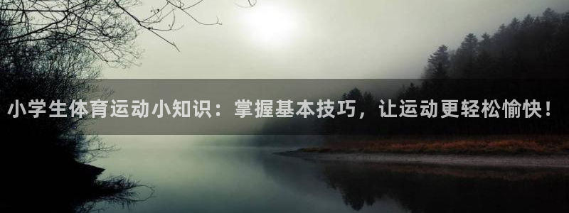 球速体育