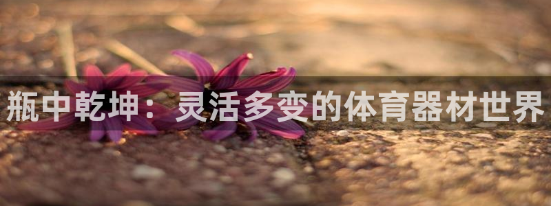 球速体育