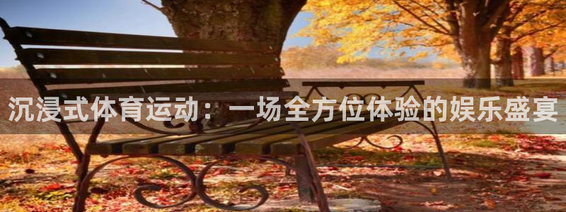 球速体育