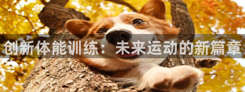 球速体育