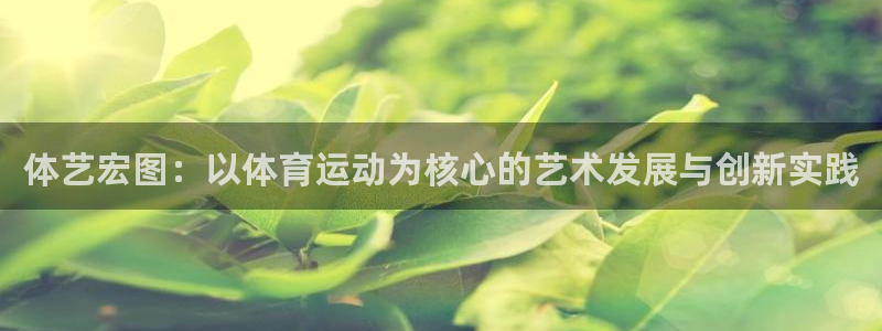 球速体育