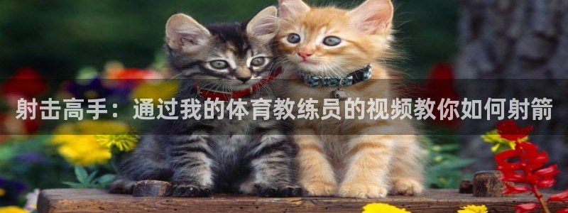球速体育