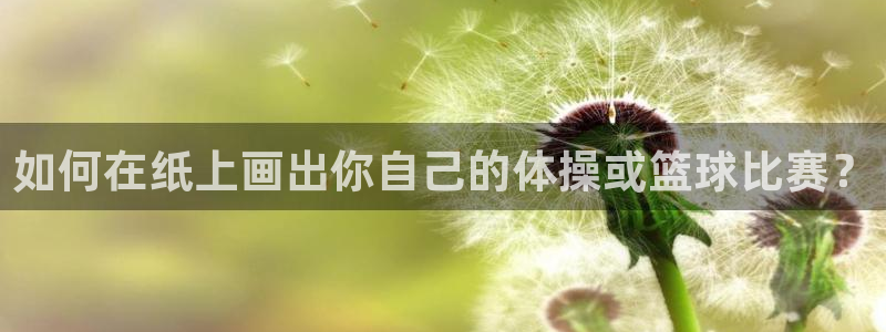 球速体育
