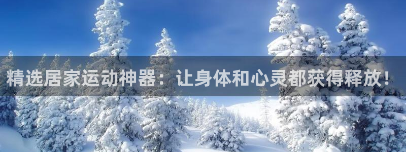球客岛官方正版app科技：精选居家运动神器：让身体和心灵都获