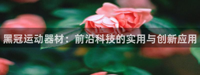 球客岛官网下载平台是正规平台吗安全吗：黑冠运动器材：