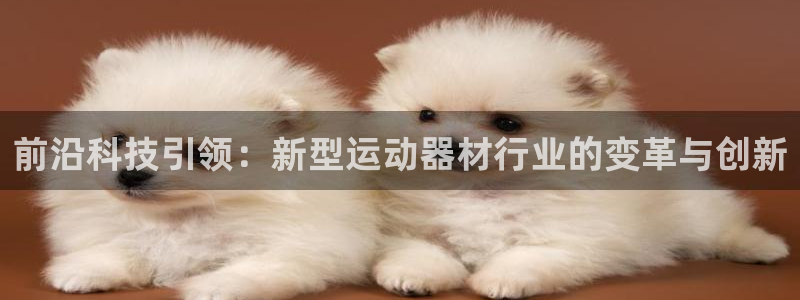 球客岛官网下载平台注册要钱吗：前沿科技引领：新型运动器材行业