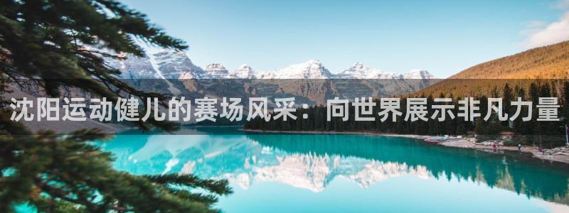 球客岛官方正版app集团官网首页网址：沈阳运动健儿的赛场风采