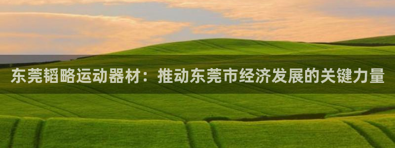 注册球客岛官方正版app：东莞韬略运动器材：推动东莞市经济发